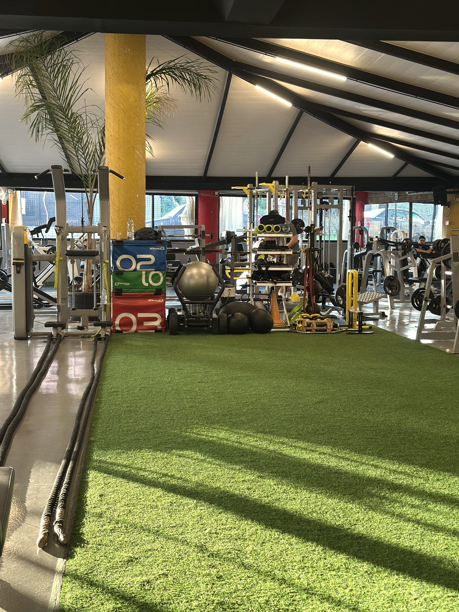 Turf runway and palm seen from the floor at North Fitness